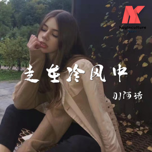 收听DJ阿诺的暗里着迷(中文dj版)歌词歌曲