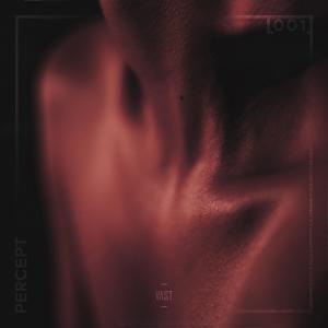 Various Artists的專輯Haymaker