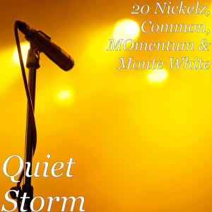 Album Quiet Storm (Explicit) from Common
