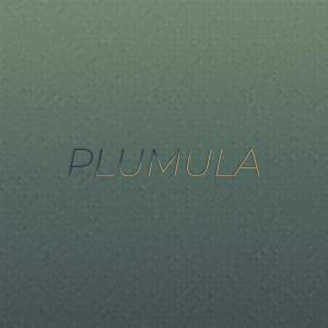 อัลบัม Plumula ศิลปิน Various Artists