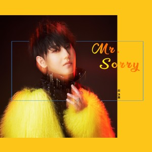 Dengarkan lagu Mr.Sorry nyanyian 赵泳鑫 dengan lirik