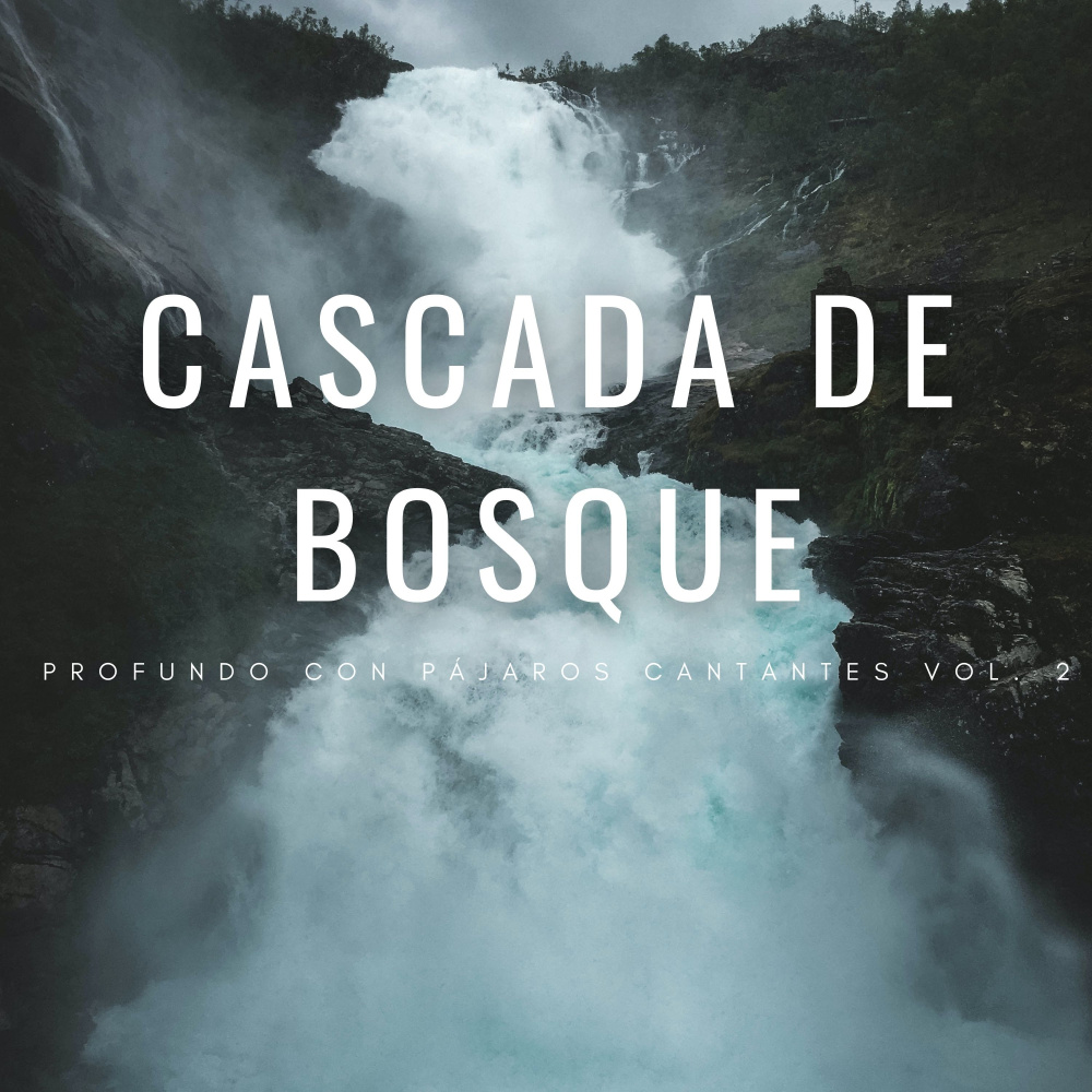 Ambiente De Cascada Ambiental Perfecto
