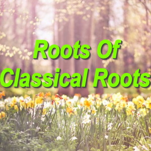 Listen to Symphony No. 2: IV song with lyrics from Capital Orchestra