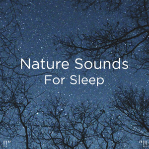 收听Nature Sounds的River Sound歌词歌曲