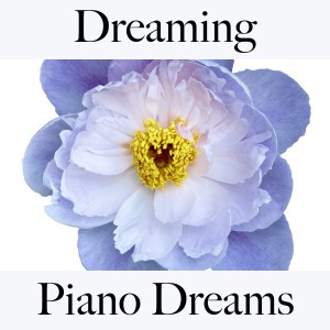 Listen to I will come back to you song with lyrics from Ralf Erkel