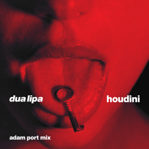 收聽Dua Lipa的Houdini (Adam Port Mix)歌詞歌曲