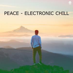 Peace - Electronic Chill dari Various