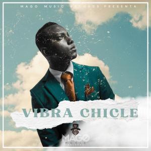 อัลบัม Vibra Chicle (feat. mago music records & El De La Jm) ศิลปิน 