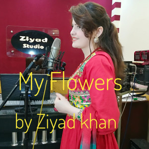 Listen to Sanama (Remix 2020) (Explicit) (Remix 2020|Explicit) song with lyrics from Ziyad khan