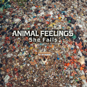 Animal Feelings的專輯She Falls