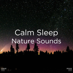 收聽Deep Sleep的Meditation Ocean Music歌詞歌曲