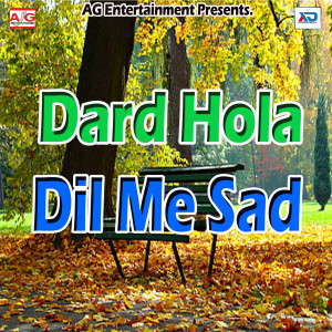 收聽Arvind Sawariya的Dil Tod Ke Gailu Ta Ab Aiha歌詞歌曲