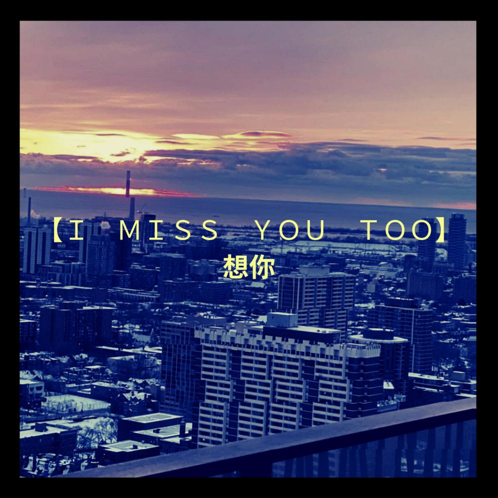 I Miss You Too
