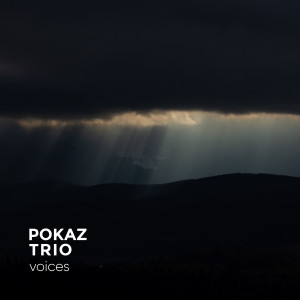 Pokaz Trio的專輯Voices