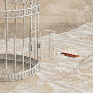 Listen to In the Clear song with lyrics from Bird