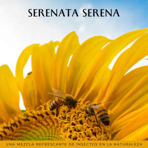 Album Serenata Serena: Una Mezcla Refrescante De Insectos En La Naturaleza oleh Relajación Ronnie