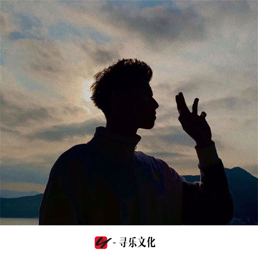 银河中的星星 (DJ版)