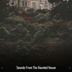 !!!!" Sounds From The Haunted House "!!!!
