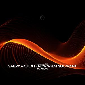 收听surround.的sabry aalil x i know what you want (8d audio)歌词歌曲