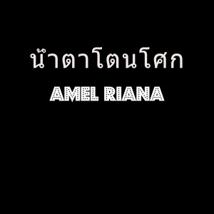 收聽Amel Riana的น้ำตาโตนโศก歌詞歌曲