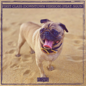 Listen to First Class (Downtown Version) song with lyrics from FlowZ
