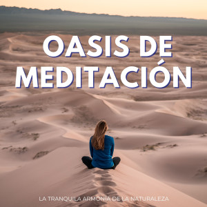 El sanador auditivo的專輯Oasis De Meditación: La Tranquila Armonía De La Naturaleza