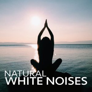 收聽Sounds of Nature White Noise for Mindfulness的Birds in the Tree Tops歌詞歌曲