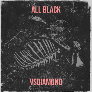 Listen to All Black song with lyrics from VSDiamond