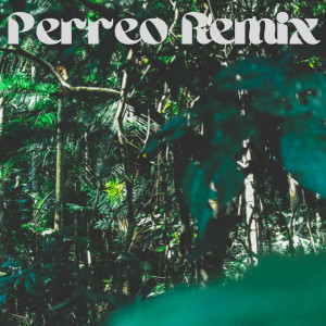 อัลบัม Suave Perreo ศิลปิน dj Tik Toker