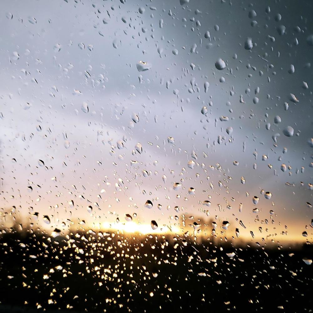 Monday Rain (Interlude)