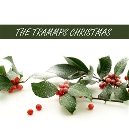 Wonderful Christmas Time