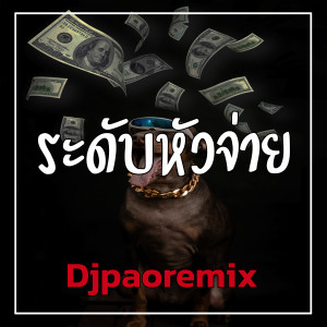 อัลบัม ระดับหัวจ่าย ศิลปิน Djpaoremix