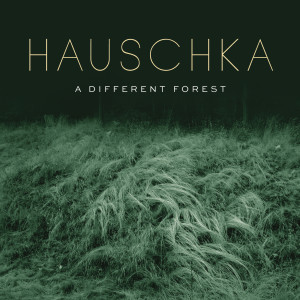 อัลบัม A Different Forest ศิลปิน Hauschka