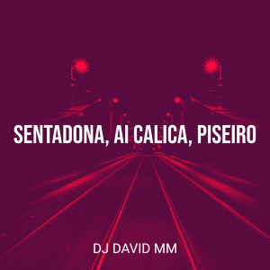 Album Sentadona, Ai Calica, Piseiro from Dj David MM