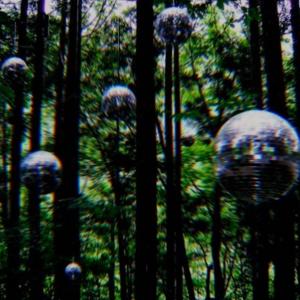 Dobermann的專輯MIDNIGHT (Explicit)