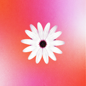Album Aimer from Ecole Pierre