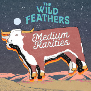The Wild Feathers的專輯Medium Rarities