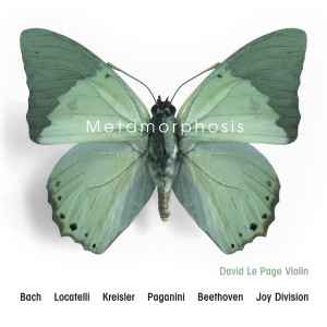 Listen to Dust Devil song with lyrics from David le Page