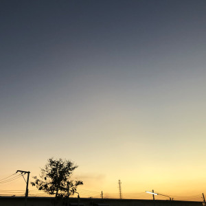 Dengarkan จะพยายาม (Explicit) lagu dari WESTSIDE2002 dengan lirik