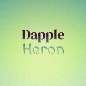 อัลบัม Dapple Heron ศิลปิน Various