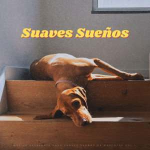 Album Música Relajante Para Suaves Sueños De Mascotas Vol.1 oleh La mejor musica instrumental
