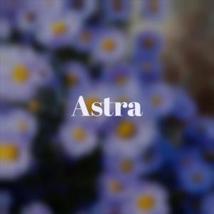 Various Artists的專輯Astra