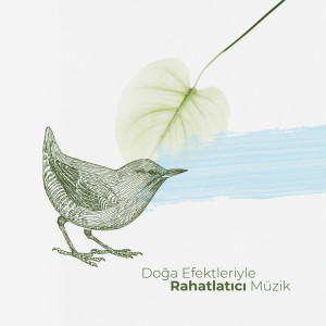 收听Doğanın Müziği的Rahatlatıcı Şömine歌词歌曲