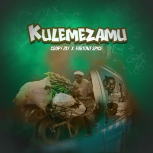 收聽Coopy Bly的Kulemezamu歌詞歌曲
