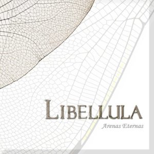 ดาวน์โหลดและฟังเพลง Mirror พร้อมเนื้อเพลงจาก Libellula
