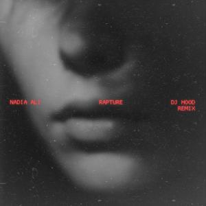 DJ Hood的專輯Rapture (DJ Hood Remix)