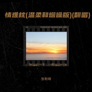 張盼峰的專輯情難枕