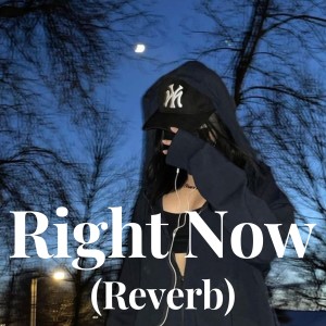 Dengarkan lagu Right Now - (Reverb) nyanyian Acon dengan lirik