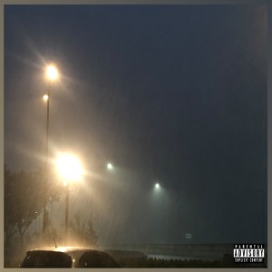 Album Would You Love Me Only Till The Airport? (Explicit) from T-se