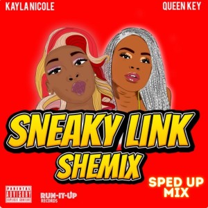 Kayla Nicole的專輯Sneaky Link Shemix (Sped Up Mix) (Explicit)